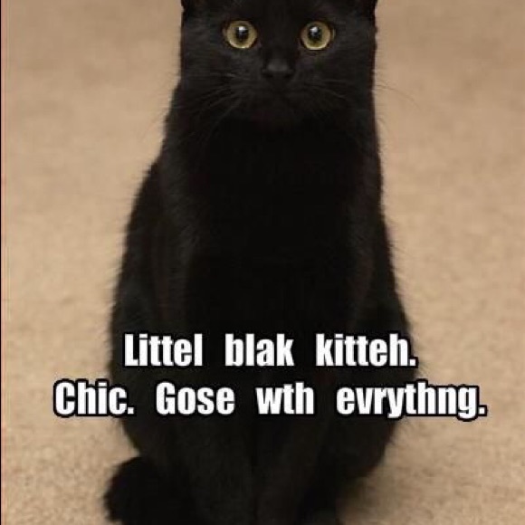 Meet your Posher, Sally - Picture 8 of 8